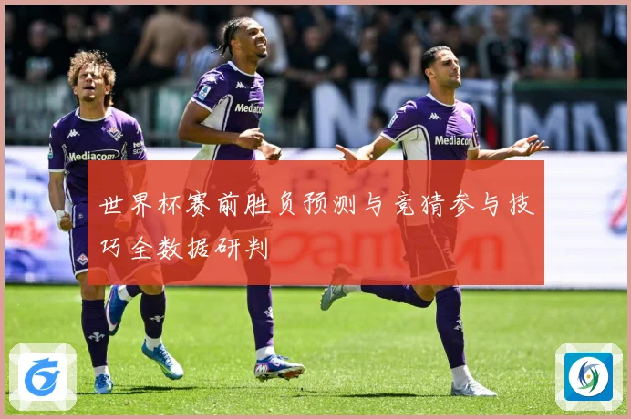 世界杯赛前胜负预测与竞猜参与技巧全数据研判