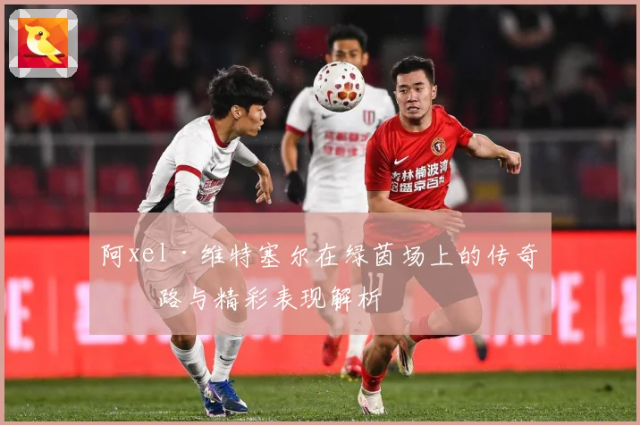 阿xel·维特塞尔在绿茵场上的传奇之路与精彩表现解析