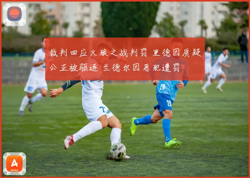 裁判回应火狼之战判罚 里德因质疑公正被驱逐 兰德尔因恶犯遭罚