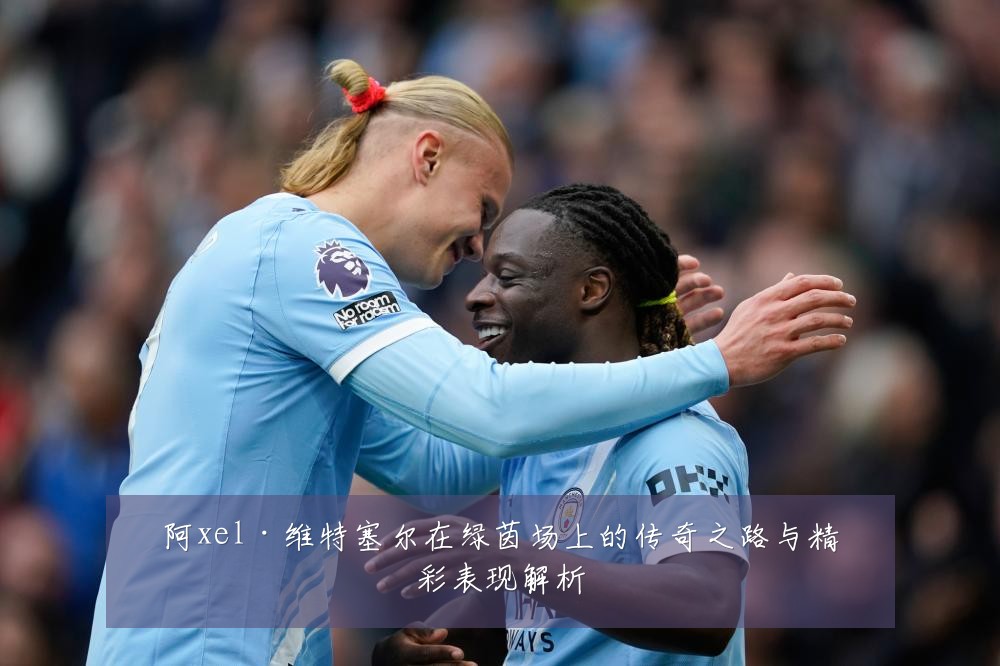 阿xel·维特塞尔在绿茵场上的传奇之路与精彩表现解析